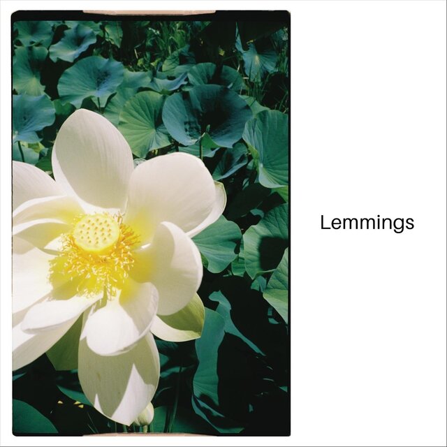 Cover art for album Untitled by Lemmings