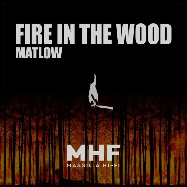 Fire in the Wood