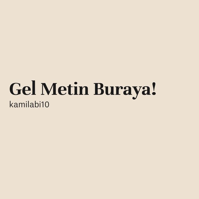 Metin Diss