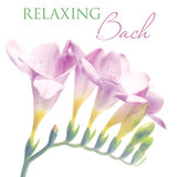 Orchestral Suite No. 3 in D Major, BWV 1068: II. Air on the G String