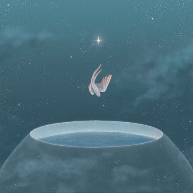 No Wind