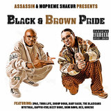 The Black & Brown Watch News Report