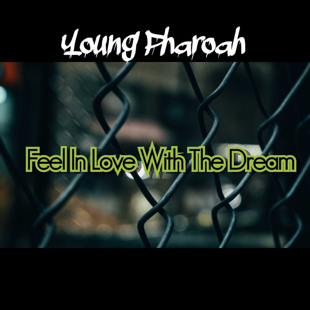 Feel In Love With The Dream