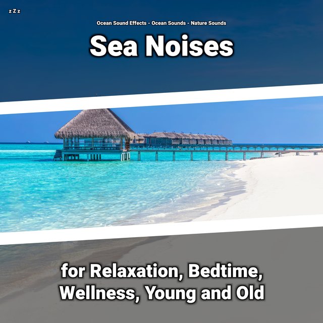 z Z z Sea Noises for Relaxation, Bedtime, Wellness, Young and Old