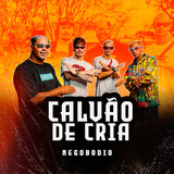 Calvão de Cria