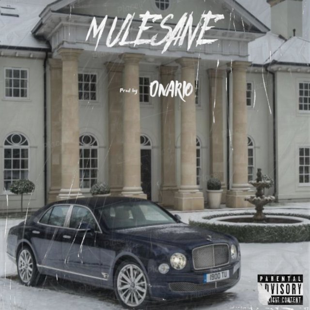 Mulesane