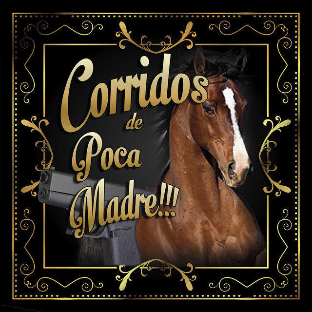 26 Corridos Pezados By La Mafia Del Norte On Tidal tidal