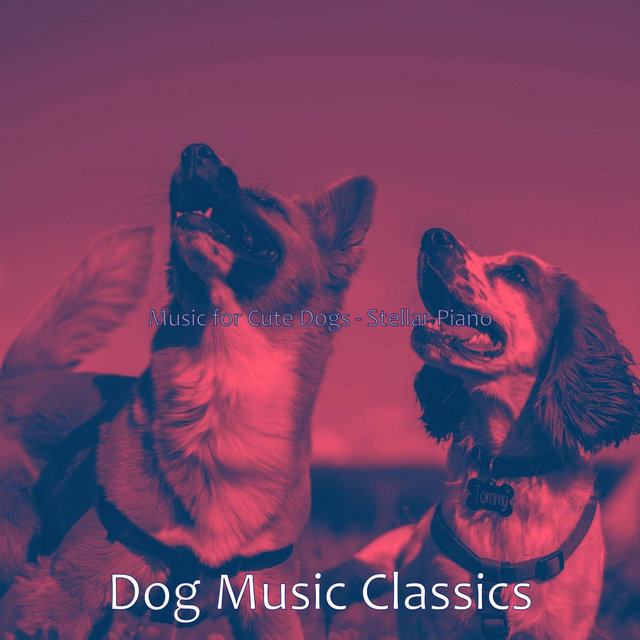 Music for Cute Dogs - Stellar Piano