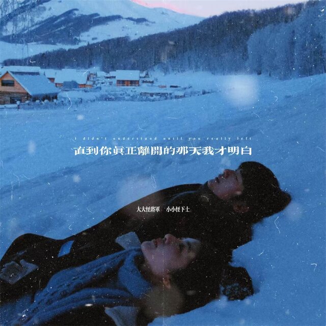 直到你真正离开的那天我才明白
