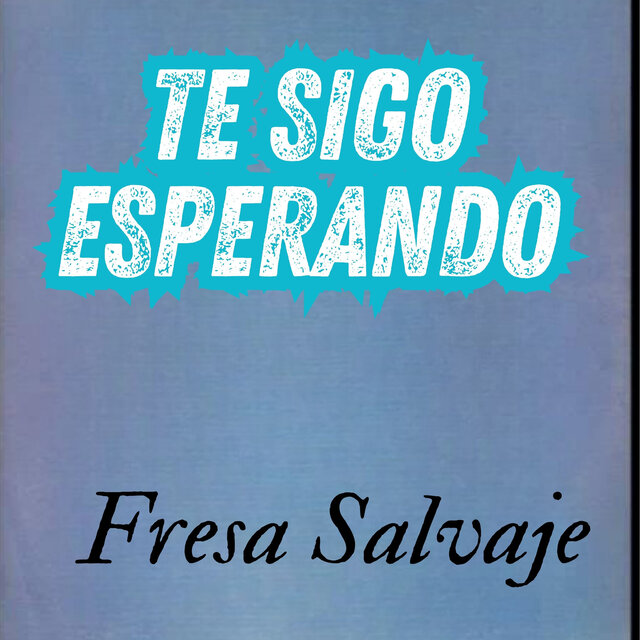 Te Sigo Esperando