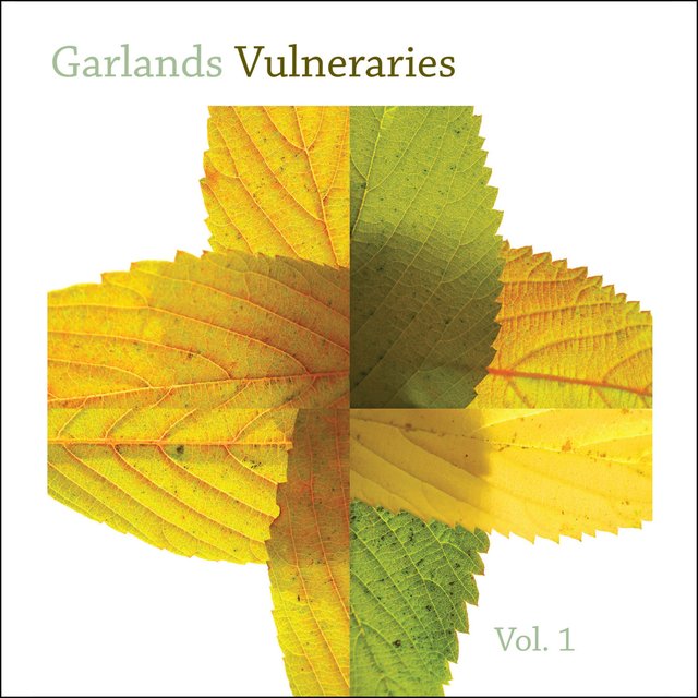 Vulneraries, Vol. 1