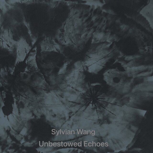 Unbestowed Echoes (弃响)