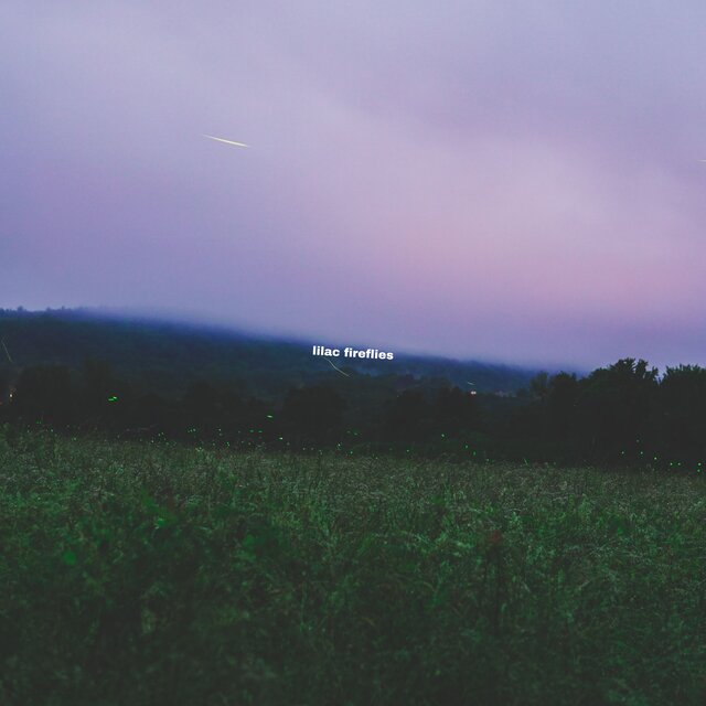 Lilac Fireflies