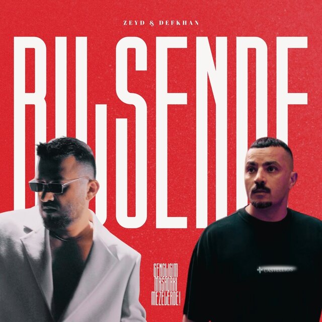 Bilsen de