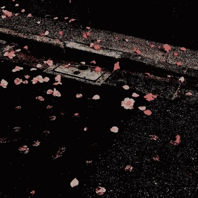 Petals on Concrete