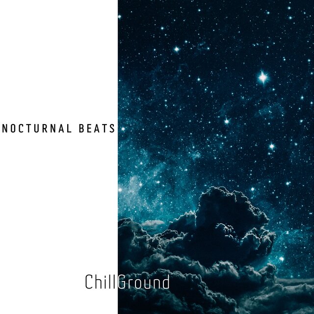 Nocturnal Beats: Chill Lo-fi