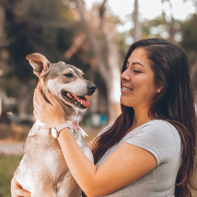 Music for Calm Puppies