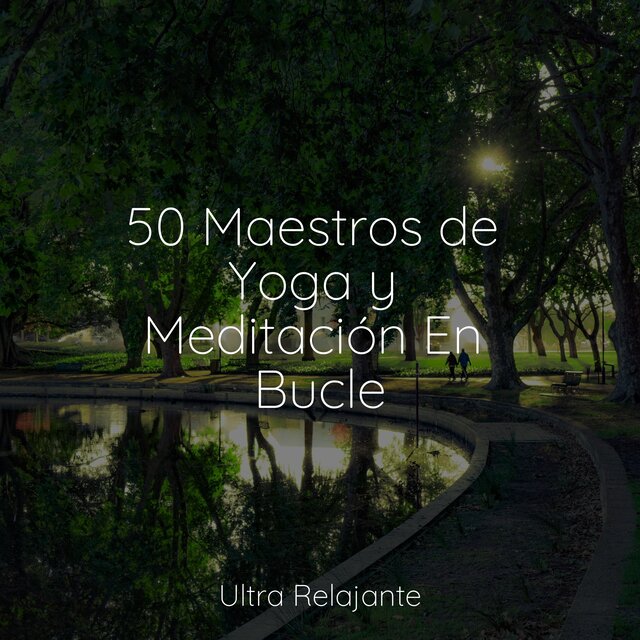 50 Maestros de Yoga y Meditación En Bucle