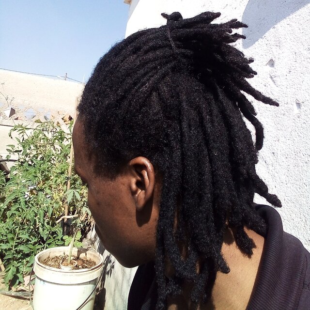 Cover art for album  by D-Kay