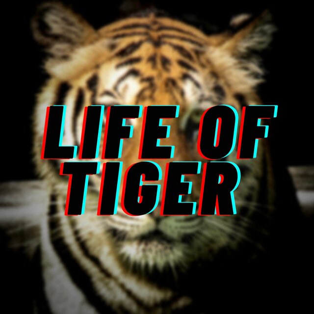 Life Of Tiger