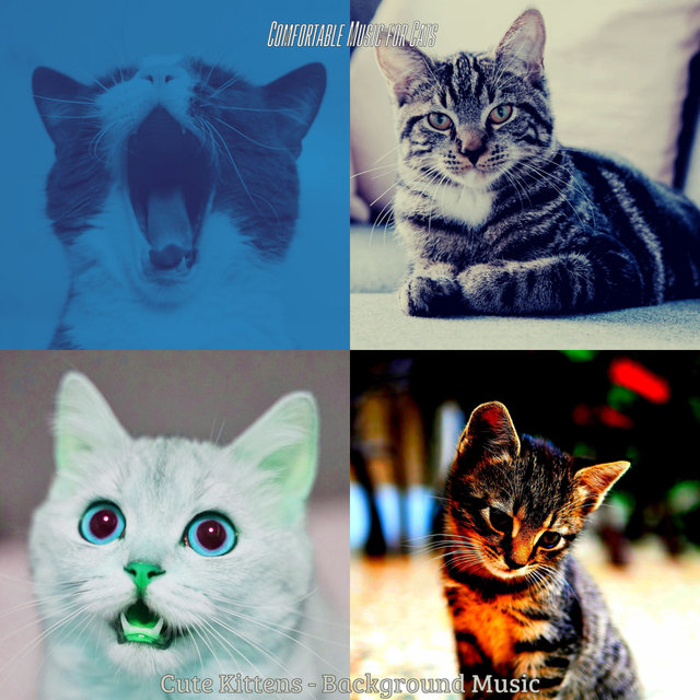 Cute Kittens - Background Music