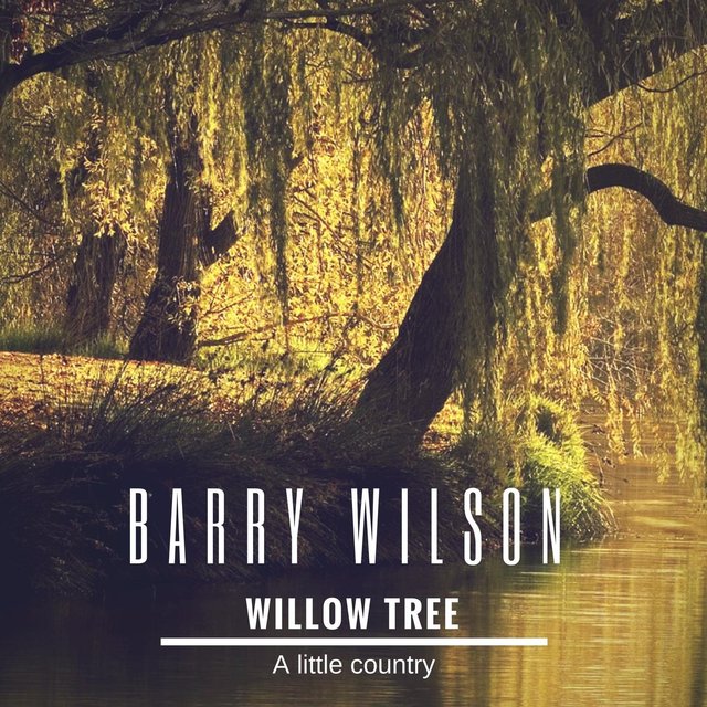 Willow Tree