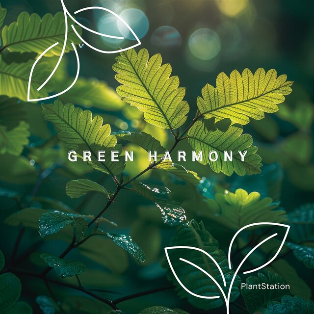 Green Harmony: 432 Frequencies for Thriving Plants
