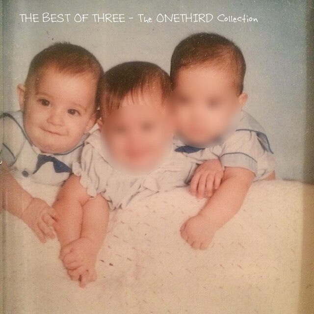 THE BEST OF THREE - The ONETHIRD Collection