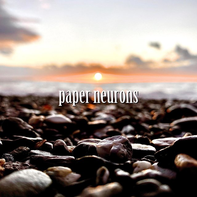 paper neurons (feat. • ukeboy •)