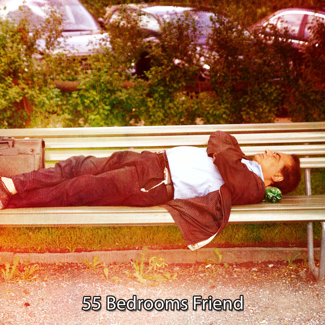 55 Bedrooms Friend