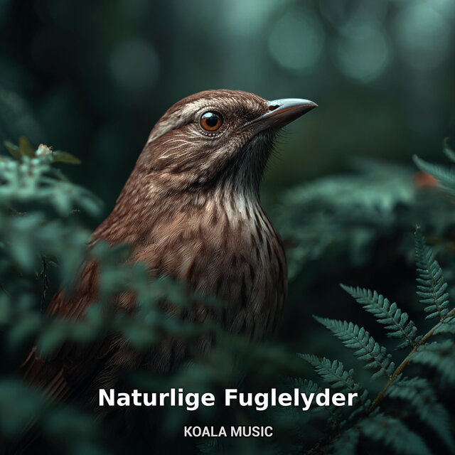 Naturlige Fuglelyder