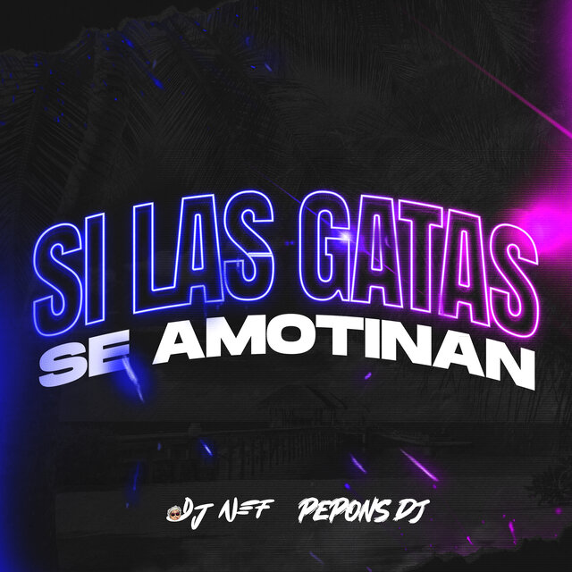 Si las Gatas Se Amotinan (Remix)