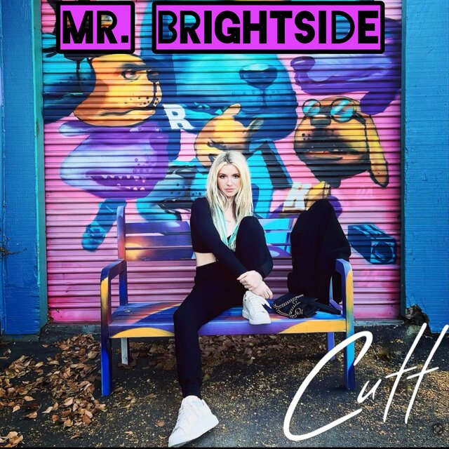 Mr. Brightside