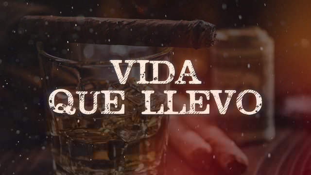 Vida Que Llevo