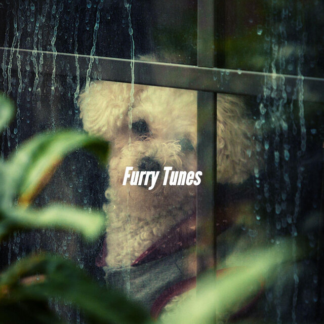 Furry Tunes