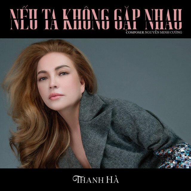 Nếu Ta Không Gặp Nhau