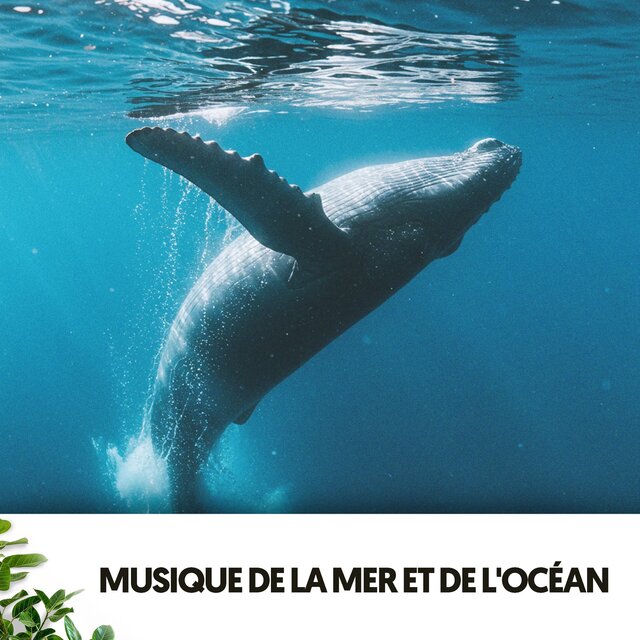 Musique de la Mer et de l'Océan: Flow de la Mer
