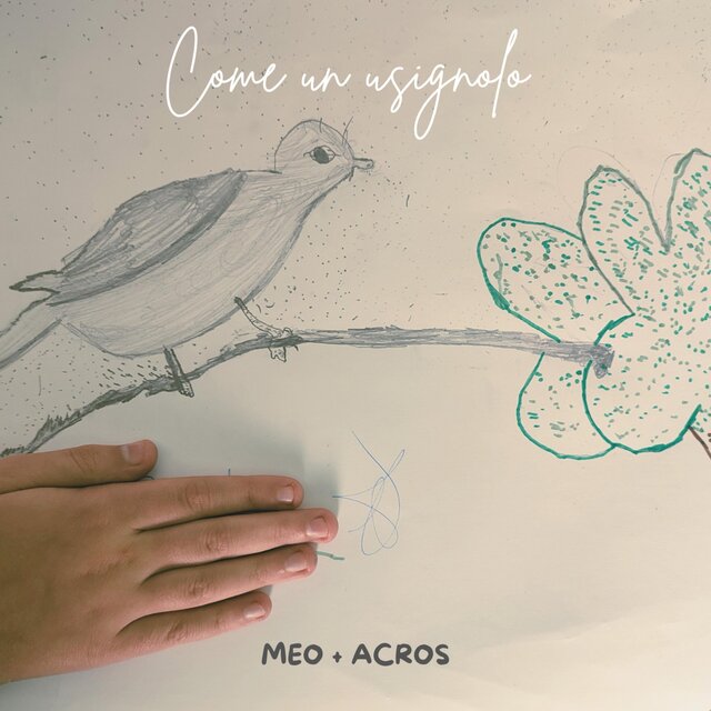 Come un usignolo