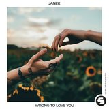 Wrong to Love You