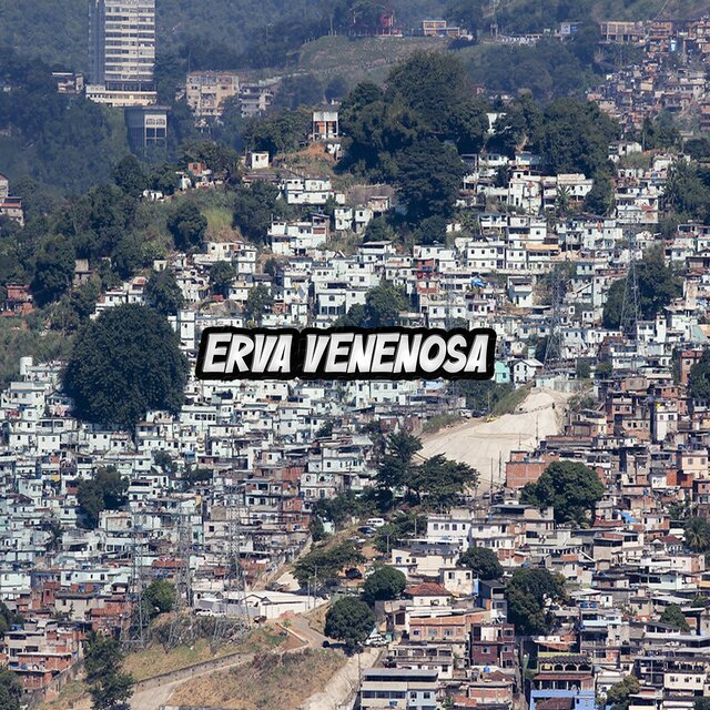Erva Venenosa