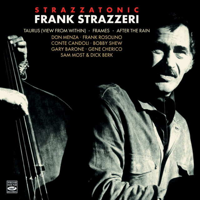 Frank Strazzeri. Strazzatonic. Taurus / Frames / View from Within