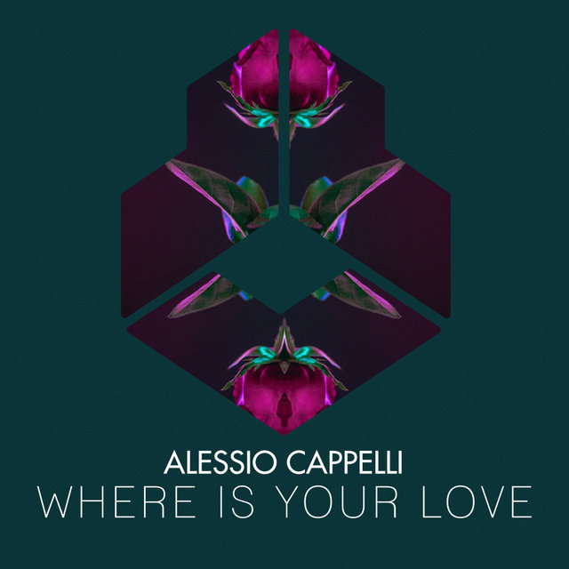 Where Is Your Love