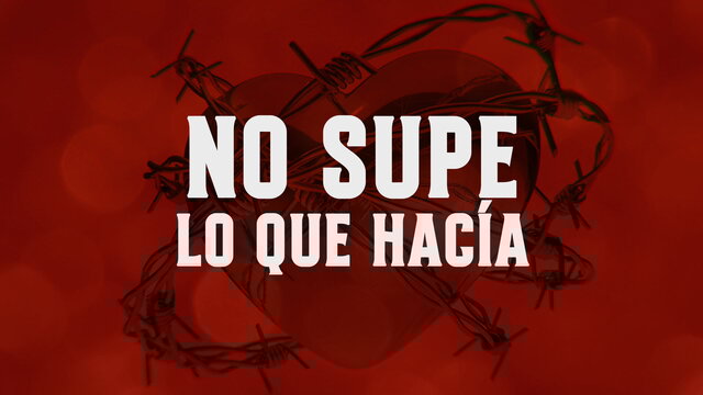 No Supe Lo Que Hacía