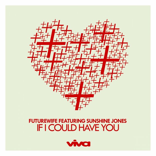 If I Could Have You