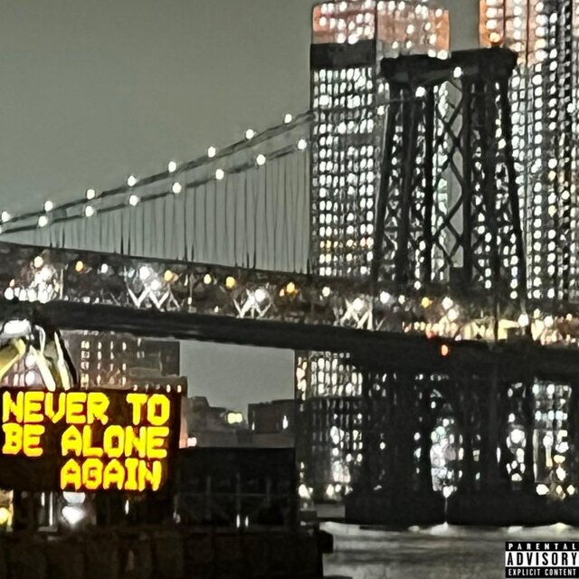 Never to be Alone Again...
