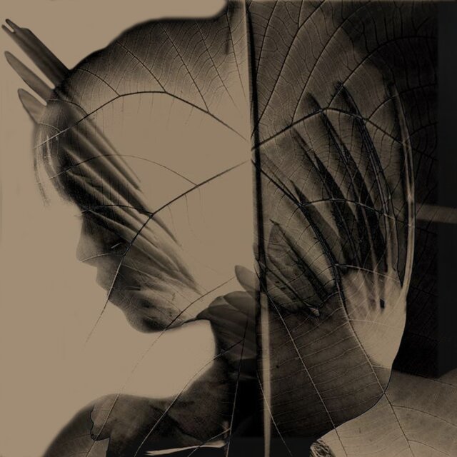 Feverdream