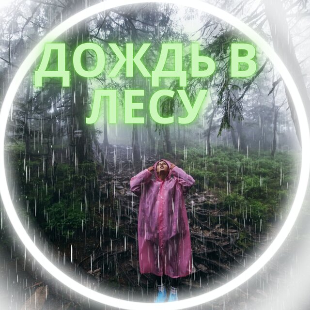 Дождь в лесу