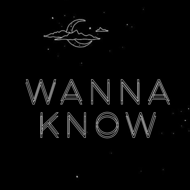 Wanna Know