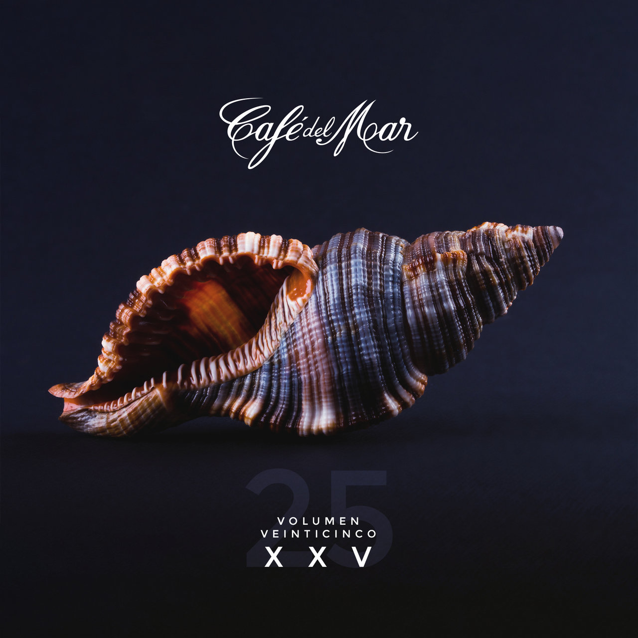 Café del Mar XXV (Vol. 25) / Café Del Mar - TIDAL