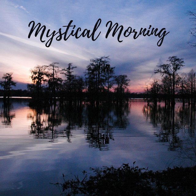 Mystical Morning